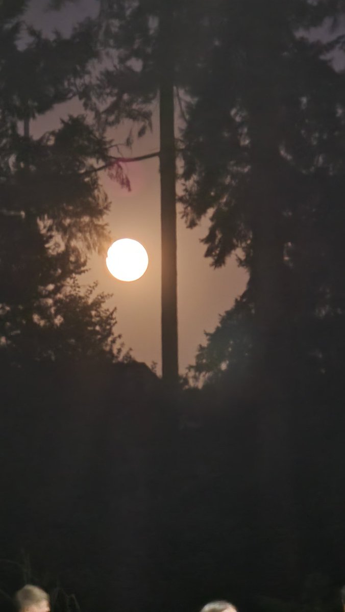 Nick Beber (@photognickbeber) on Twitter photo 