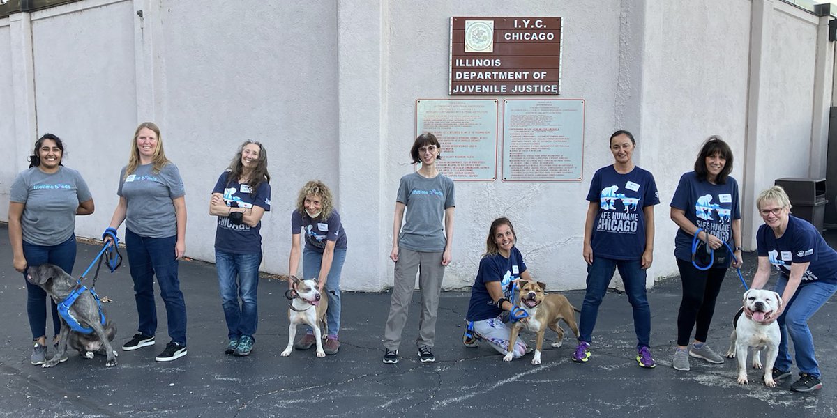 Safe Humane Chicago tweet media