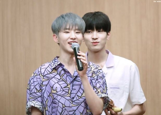 wonwoo "laging nakasulyap kay kwon soonyoung" jeon