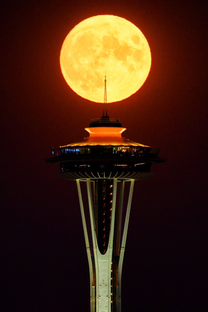 timdurkan's tweet photo. Tonight's #HarvestMoon over Seattle https://t.co/iQiMlz7pnc