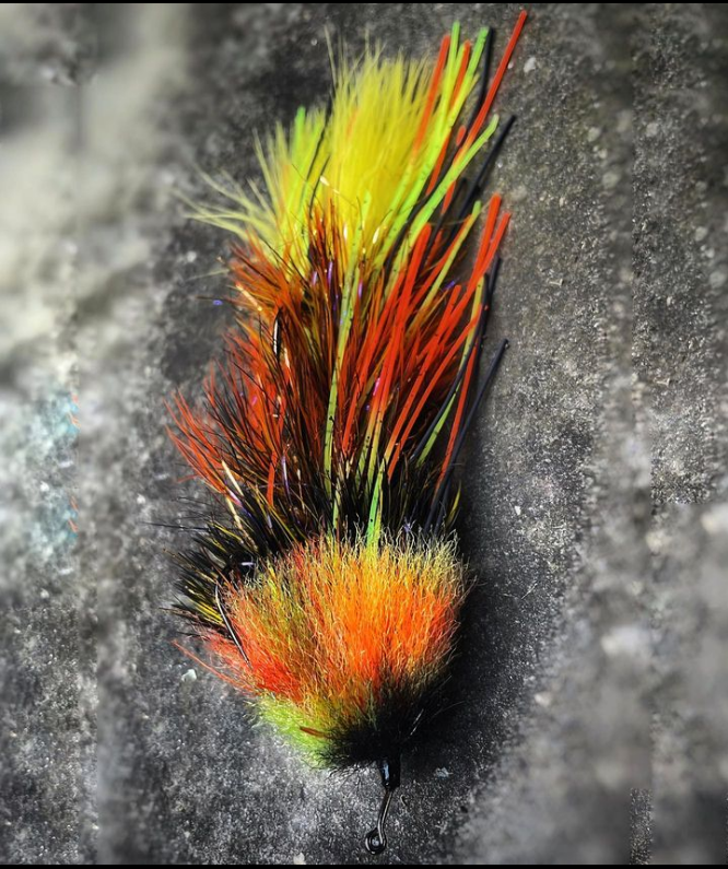 Saltwateronfly's tweet photo. Beautiful
@until_they_included_us
(𝚋𝚞𝚛𝚗𝚒𝚗𝚐 𝚋𝚛𝚒𝚐𝚑𝚝)

Woodsman - Tiger Flame
•
•
•
#flyfishing #flyfishing #flytying #flytyingcult #streamereater #onthefly  #smalliesonthefly #smallmouth #bassonfly #flyfishingforbass  #woodsmanfly #gamechangerfly #changeyourgame https://t.co/jQKnRbqWpF