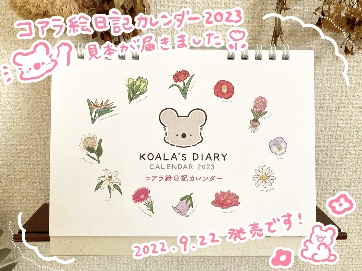 コアラ絵日記カレンダー2023の見本が届きました🐨🗓🧸
一年をお花とともに過ごすコアラを、机の上でお楽しみいただけたらうれしいです🐨💐
発売日は2022年9月22日です。予約も開始しています🐨▶︎https://t.co/YwSDOjFkZS 