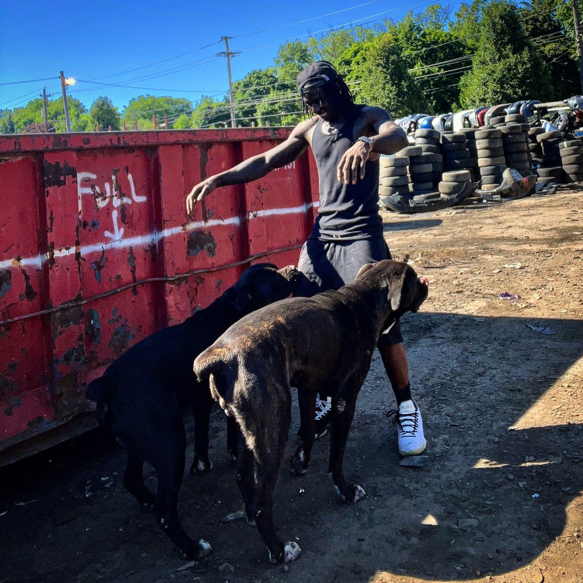 Officialdehaven's tweet photo. Play Time with my kids ๐โ๐ฆบ๐โ๐ฆบ
#canecorso #canecorsopuppy #canecorsolife #canecorso #dog #dogsofinstagram #dogs #doglover #doglovers #doglife #doglove #dogloversofinstagram #666โก๏ธโ๏ธ๐ #TrueStory #RegularChampยฎ๏ธ https://t.co/90ZwZd5apy