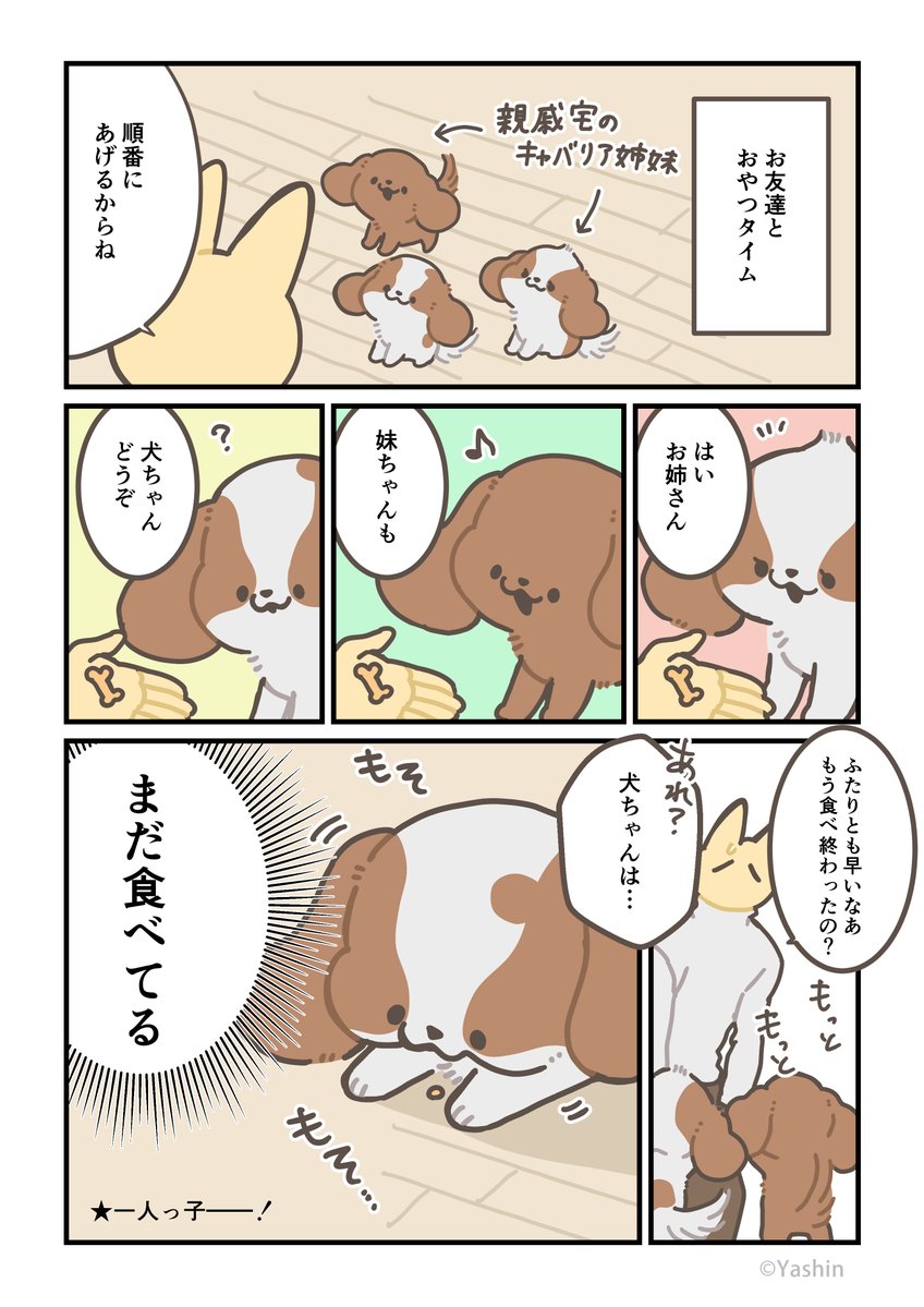 犬日記 マイペースすぎる 