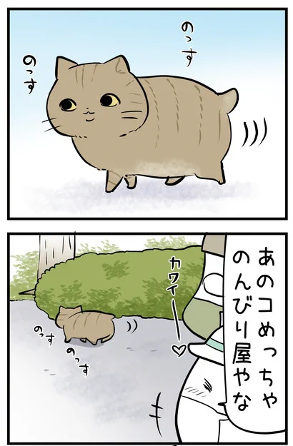 本気出したらすごい
「省エネねこちゃん」のおはなし。
https://t.co/msODj15ODZ
#ねこ 