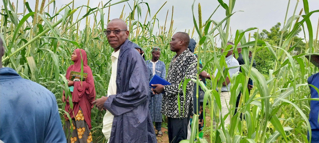 ISSD-Sahel tweet media