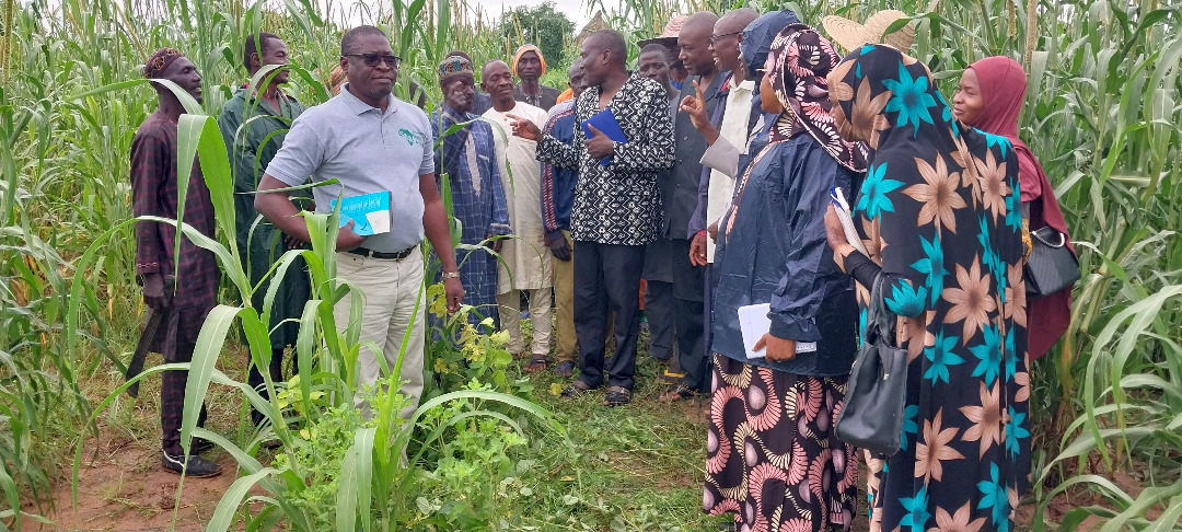 ISSD-Sahel tweet media