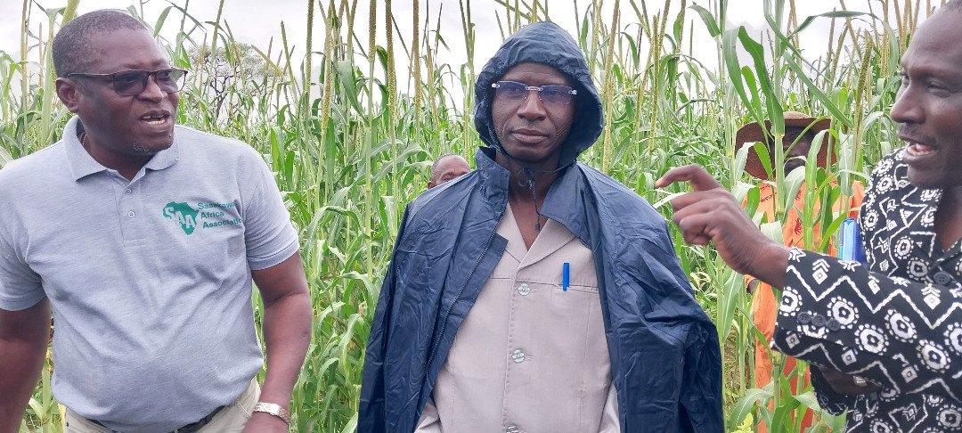 ISSD-Sahel tweet media