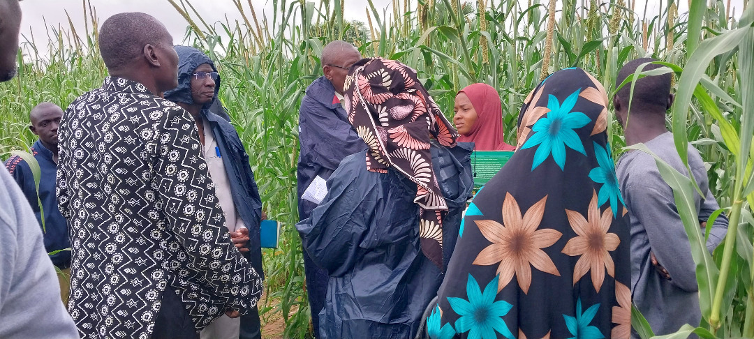 ISSD-Sahel tweet media