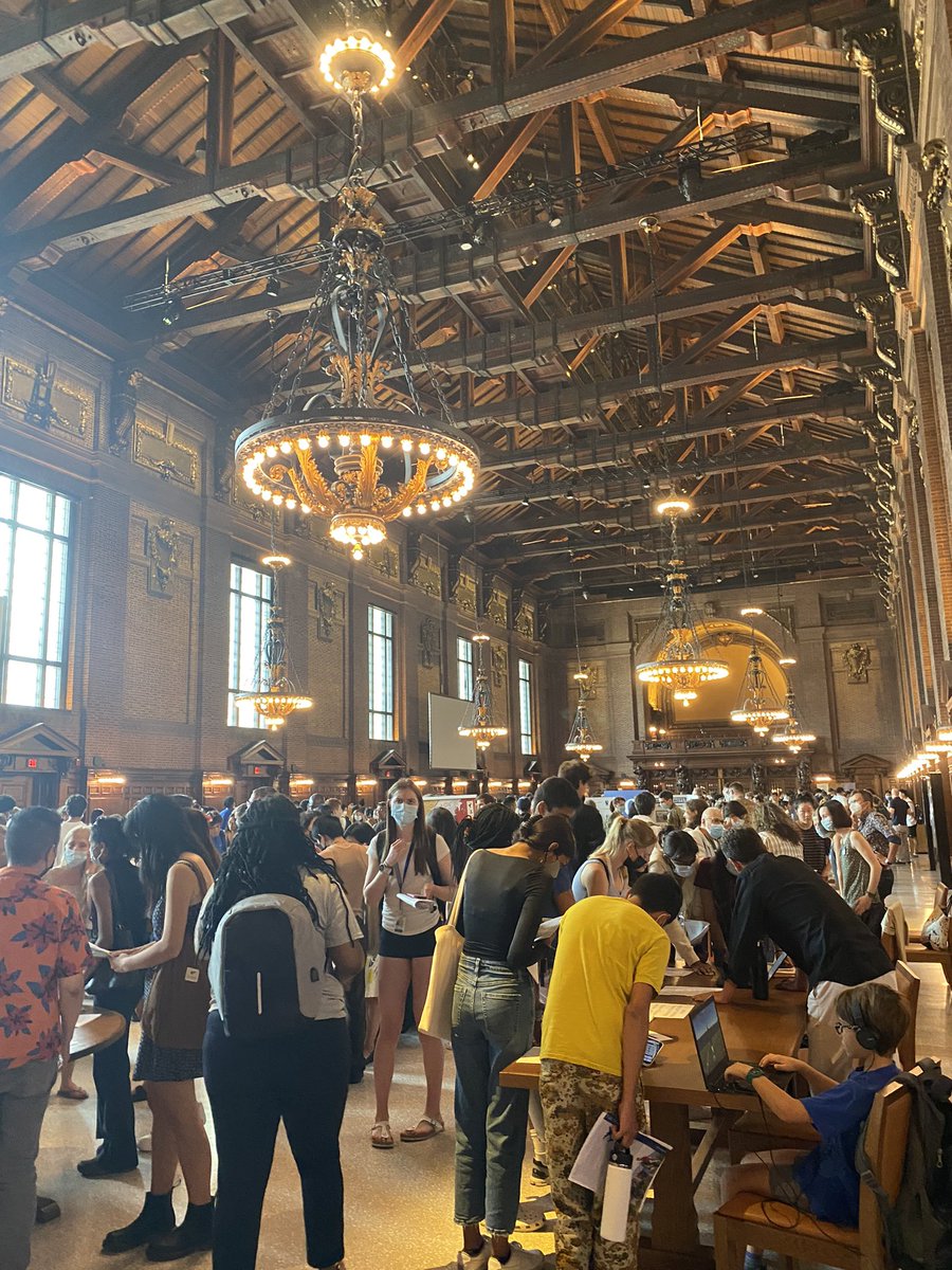 Living in a fantasy world 📚