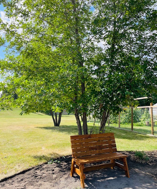 William Roper Hull School tweet media