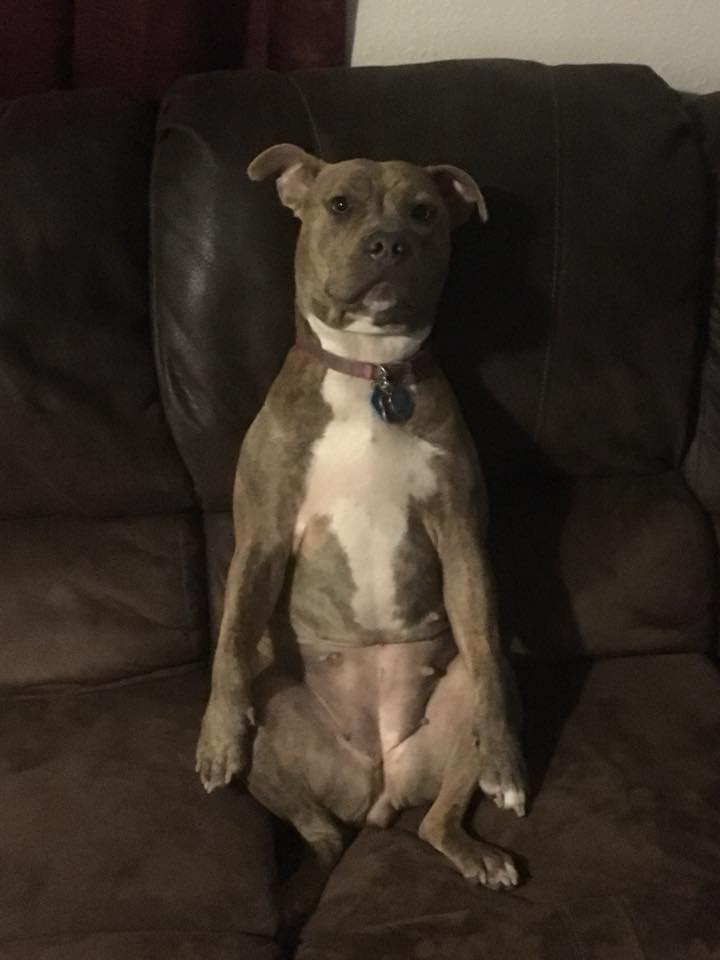 Dee Chase tweet media