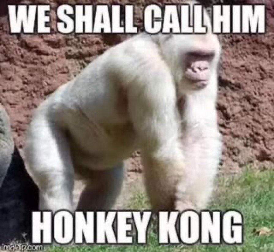 N76247476Man's tweet photo. You folks know I mess with everyone. If this offends you then good. 😂😂🤣🤣😂😂😁😂🤣😂😂😂🤣😂🤣 https://t.co/t1nHU3ZigR