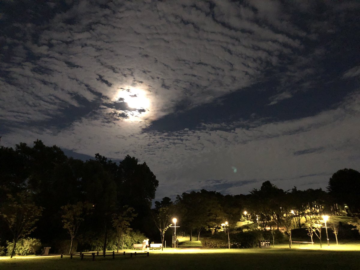 도시노동자 tweet media