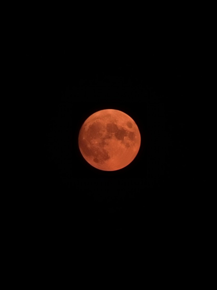 Your_DivineMind's tweet photo. Been taking a break but just wanted to pop in and say...
THE MOON IS ORANGEEE https://t.co/UWXrgp34ww