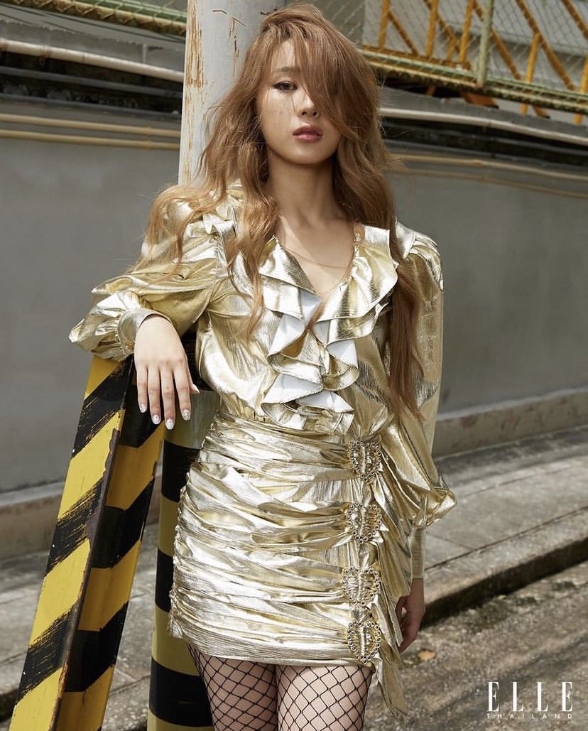 عرب روا|survive tweet media