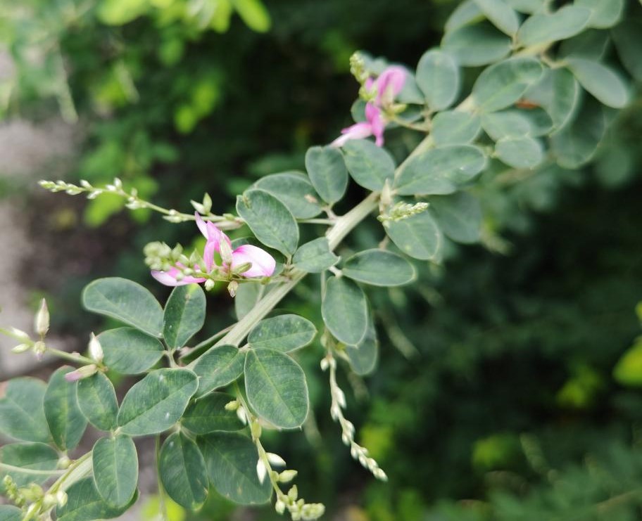 おはようございます。
日暮れの時間が早くなり、明け方に若干肌寒さを感じるようになりました。
今夜は中秋の名月、いいお天気になりますように。

毎週恒例の玉栄土曜特売日、
アウトレット玉子を販売しております。
どうぞよろしくお願いします。

＃玉子焼
#玉栄本日営業中