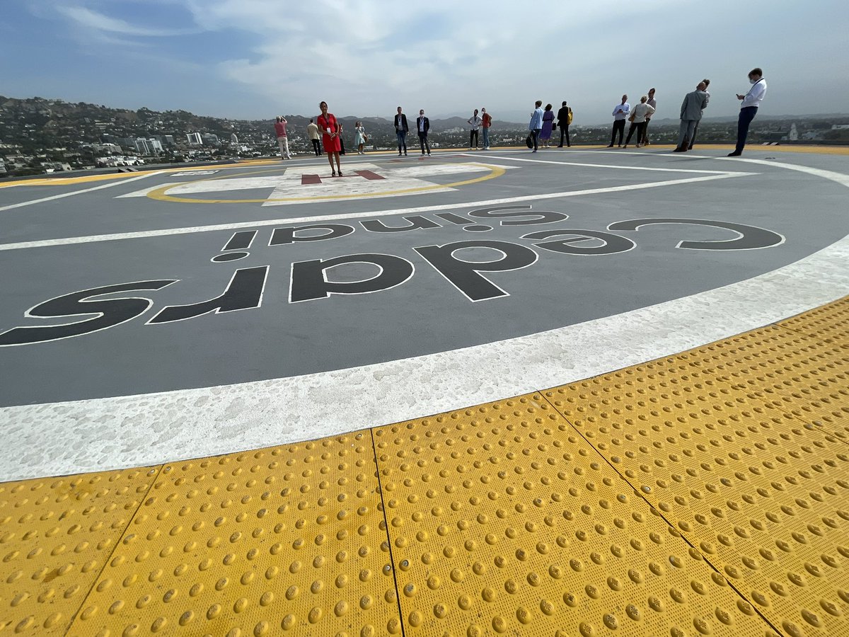 Sandra van Rijswijk tweet media