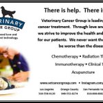 Photo by Veterinary Cancer Group (@VetCancerGroup)