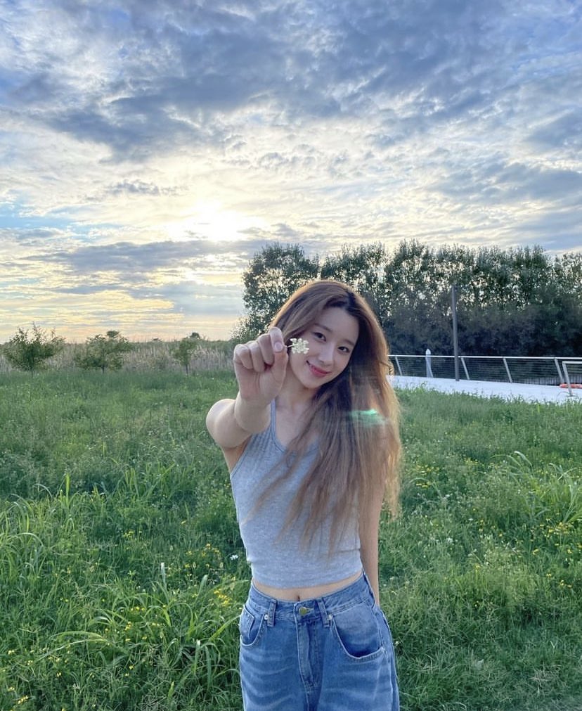 عرب روا|survive tweet media