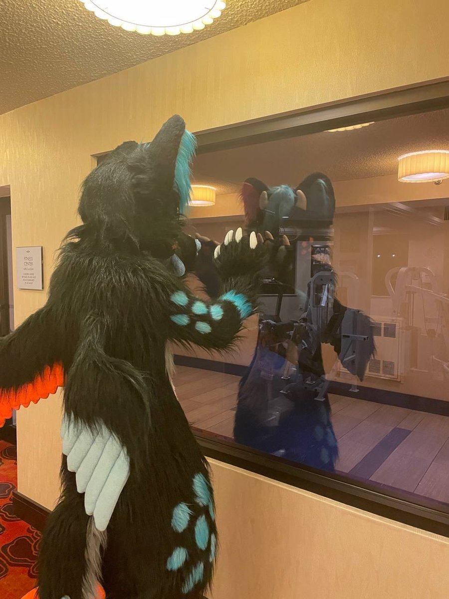 DitrusNight's tweet photo. One thing that I never really thought of before getting a fursuit is looking in the mirror, but now I think its something everyone's gotta do atleast once because it is such a surreal experience. Happy #FursuitFriday!

#IndyFurCon #IndyFurCon2022 https://t.co/juFPQ6iwhB