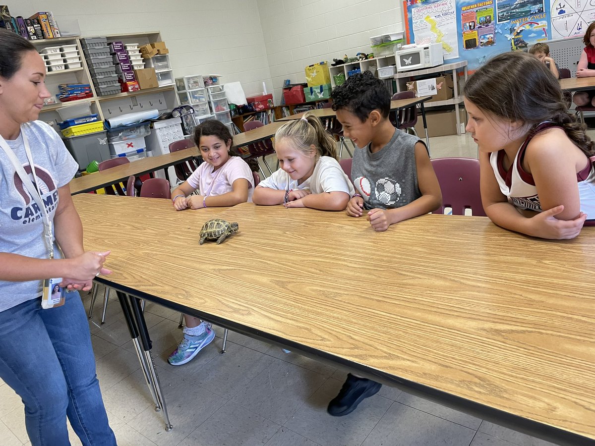 Carmel ES 3rd graders get up - close and personal with a Russian Tortoise. It’s not our state reptile, the Gopher Tortoise, but it is still very cool!  Thank you, Ms. Andrews, for sharing Scoot with us!
<a href="/CarmelESColts/">CarmelElementary</a> 
<a href="/CherokeeSchools/">Cherokee Co. Schools</a>