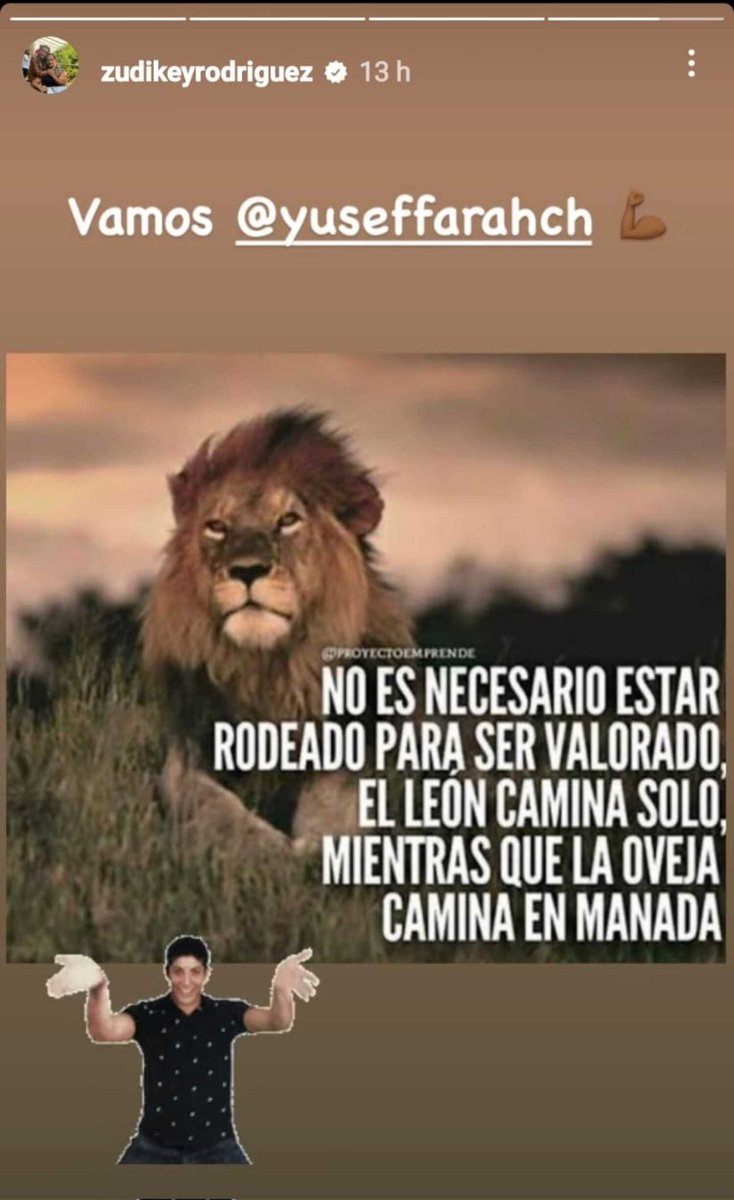 Roxcotian's tweet photo. Ya lo dijo @ZudikeyR ..eres un león y no necesitas estar rodeado, el león camina solo..por eso cada vez estás mejor, ganando todo...vamos por esa final LEÓN LIBANÉS @yuseffarahch 
#SurvivorConcejoTribal 
#TodosSomosYusef https://t.co/Bcl2iKLkK8