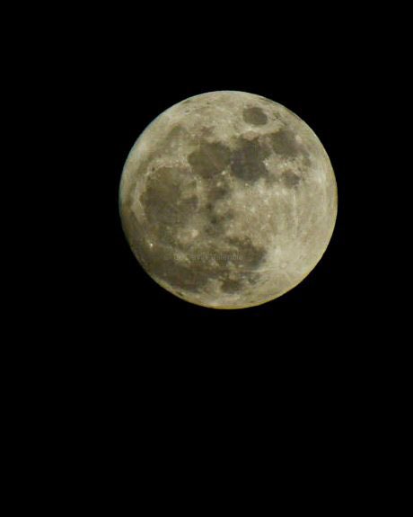 Háblenme de la luna de hoy… foto tomada por #Davidvalencia