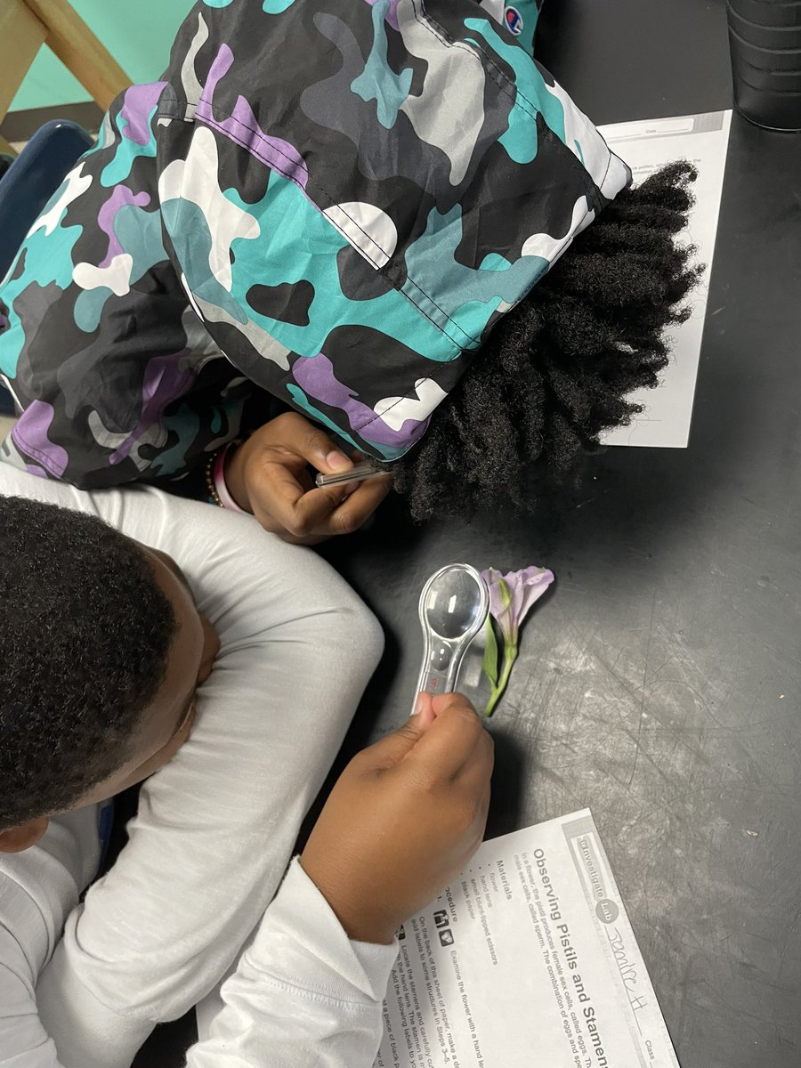 adamsdcb23's tweet photo. New standards? New content in Year 22? @HandMiddleSC 8th graders are crushing it thanks to support from @R1SecondaryEd @ABuchanan_Sci @JoyStarks and @SavvasLearning. 
#PlantAdaptations #FlowerDissection #ScienceIsHappening https://t.co/Gcf4BhMq3w