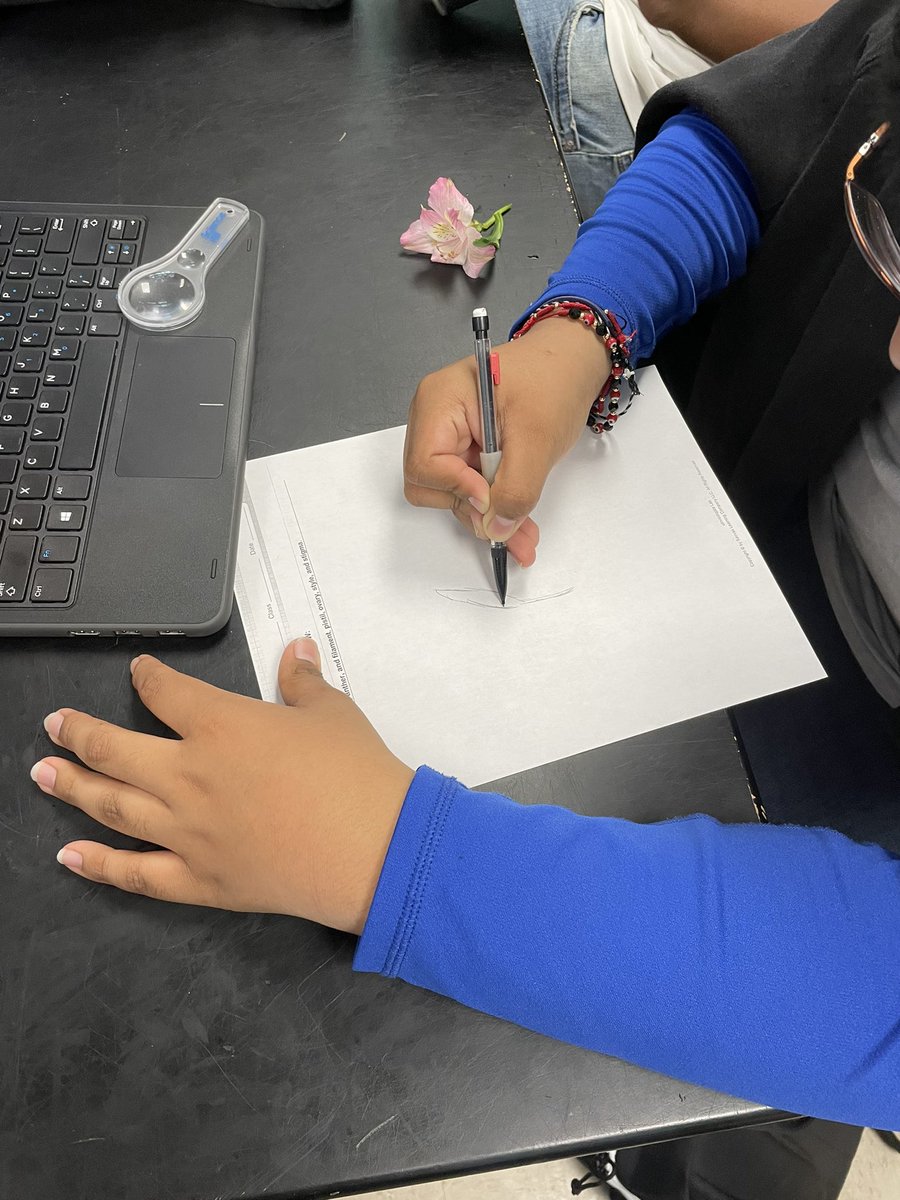 adamsdcb23's tweet photo. New standards? New content in Year 22? @HandMiddleSC 8th graders are crushing it thanks to support from @R1SecondaryEd @ABuchanan_Sci @JoyStarks and @SavvasLearning. 
#PlantAdaptations #FlowerDissection #ScienceIsHappening https://t.co/Gcf4BhMq3w