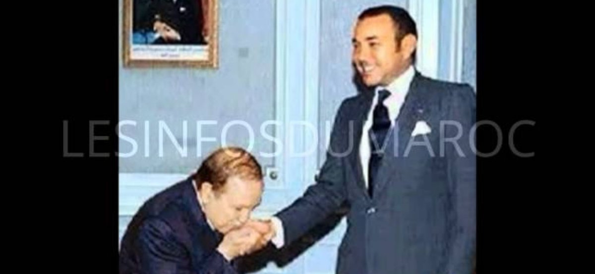 بصح الأسد تيبسو ليه اليدين