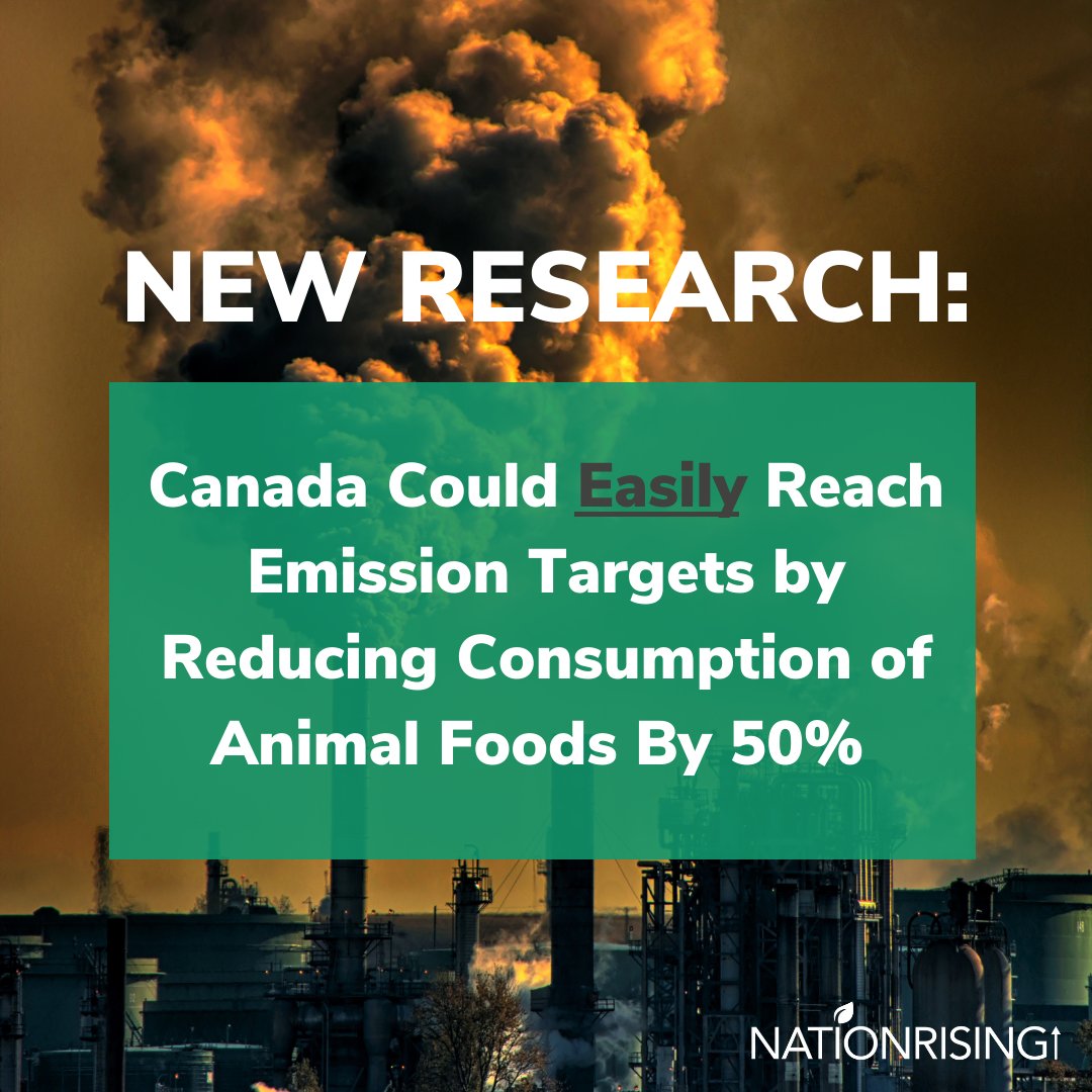 Research from <a href="/MoveTheWorld/">World Animal Protection</a> shows how Canada can meet emission targets if animal product consumption is cut.

Canada’s Emissions Reduction Plan (ERP) aims to reduce GHG emissions by 40%.

Fund a lobbyist in Ottawa via linktr.ee/nationrising #plantbasedpolicy #justtransition