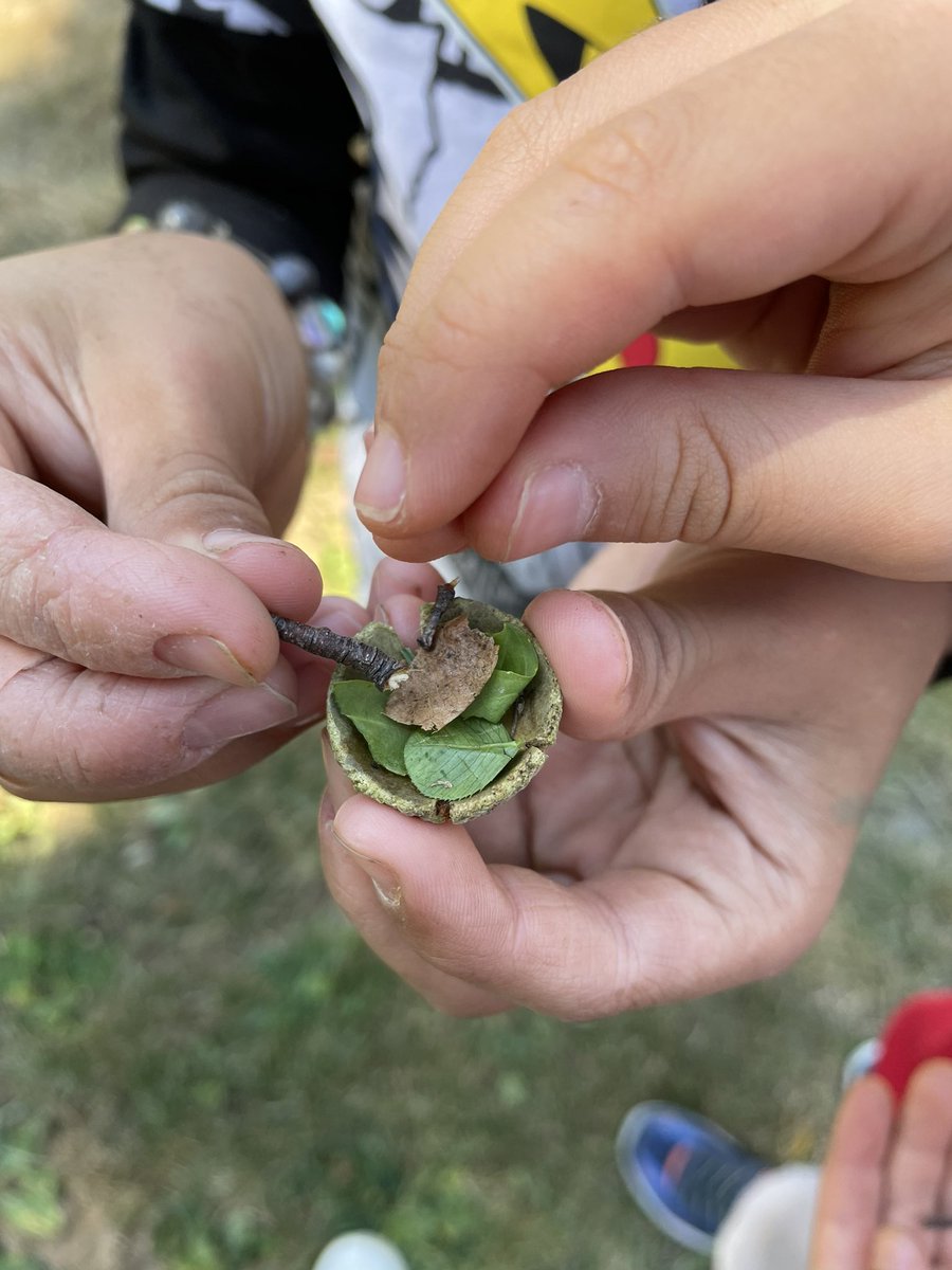 General Currie tweet media