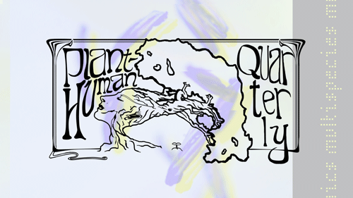 NewPages.com tweet media