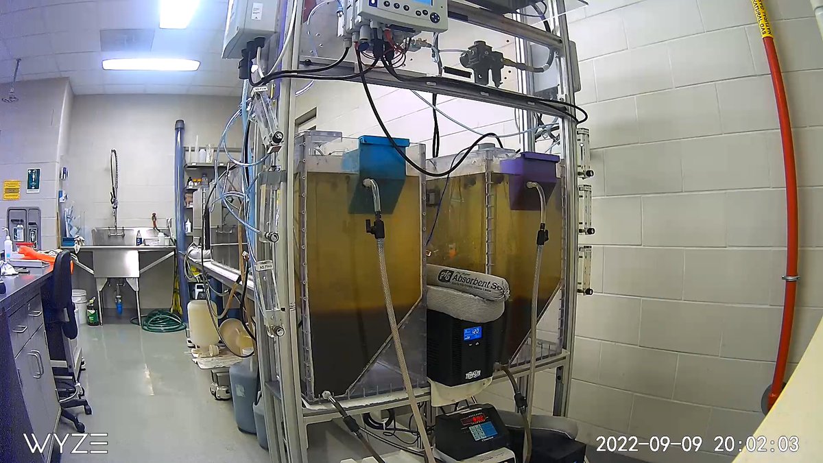 Dr_BSturm's tweet photo. @watermicrobe I’m one upping your reactor photo with a snap of the webcam we have on ours. I like them controls though. Thanks @MeganOWittman for getting this set up. https://t.co/a2zIBDTWDa
