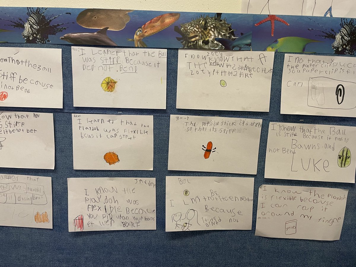MsJacksonAME's tweet photo. A little Writing In Science after our  Flexible or Stiff Investigation . I provided the Sentence Stems and they filled in the rest with their reasoning 😍😍😊💯 https://t.co/lUCxamdUq8