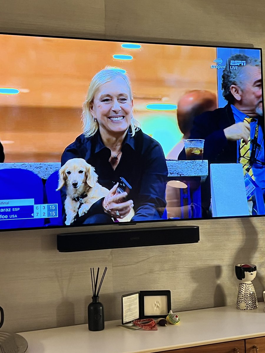 toteswondY's tweet photo. Can ANYONE bring their doggy or just @Martina? 🤩❤️🐾🐶#AlcarazVSTiafoe #USOpen https://t.co/5UjhidpuLS