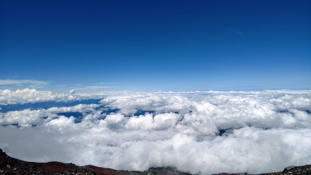 八雲ちぇん tweet media