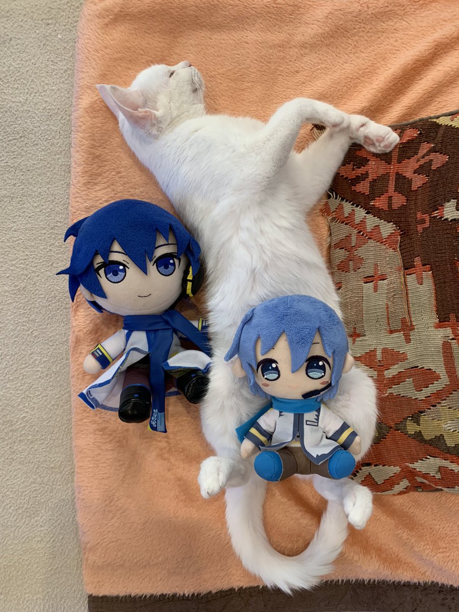 fuganaoto's tweet image. My daughter relaxing with my sons😀💖💖now
