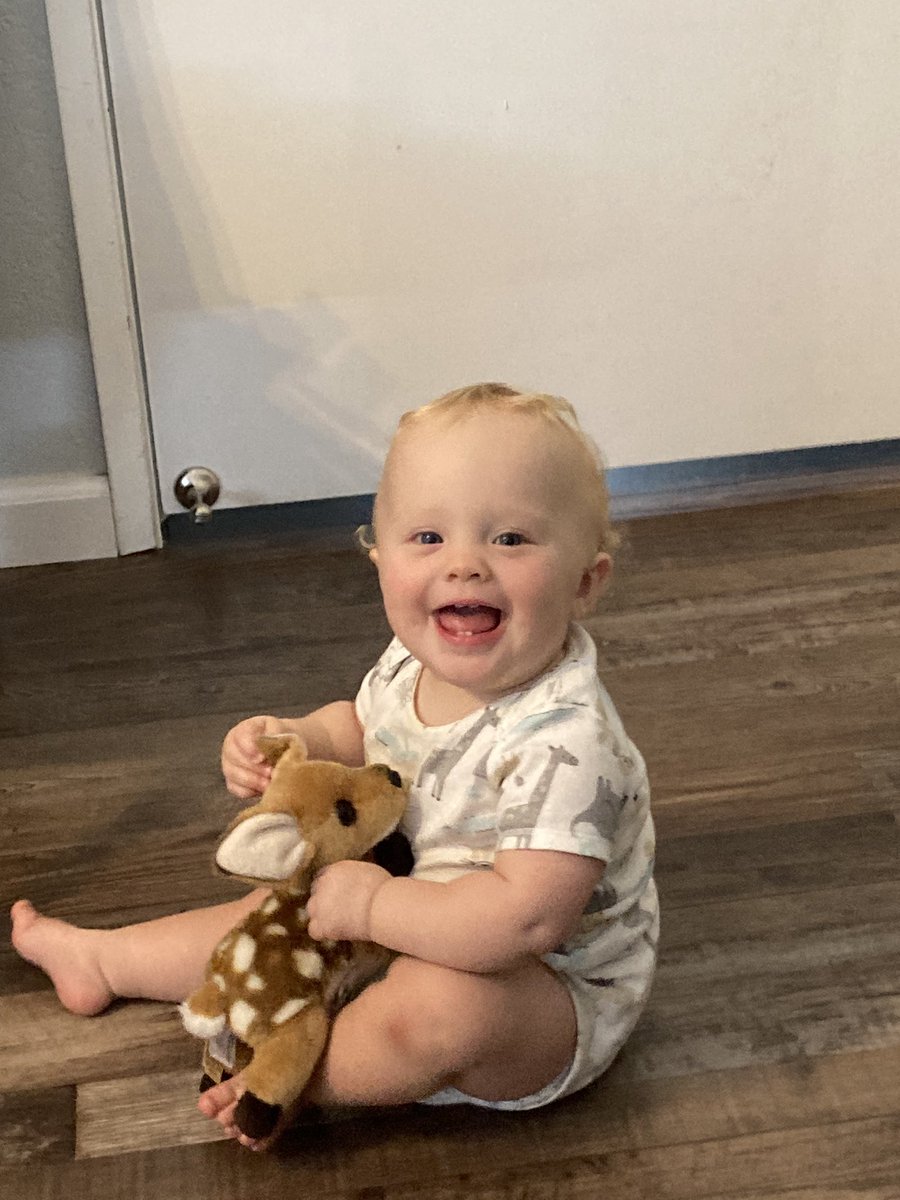 bengrovez's tweet photo. A full year of this little lady as of tomorrow. Wild. https://t.co/TZki72gETR