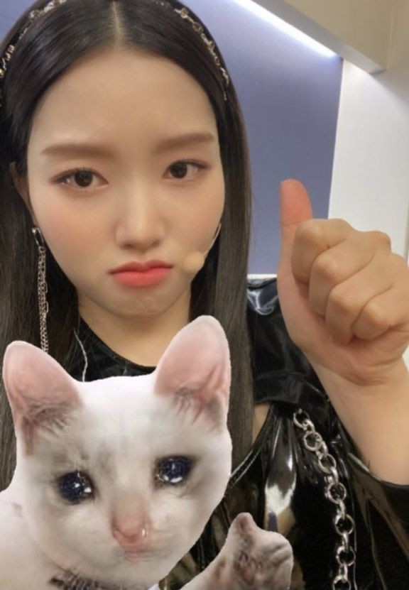 verwonline's tweet photo. Heyy this is a new account dedication to loonateen's brats Vernon &amp; Gowon rt to reach more carabits/loonateeners😉 https://t.co/BhuFTtJ6ax