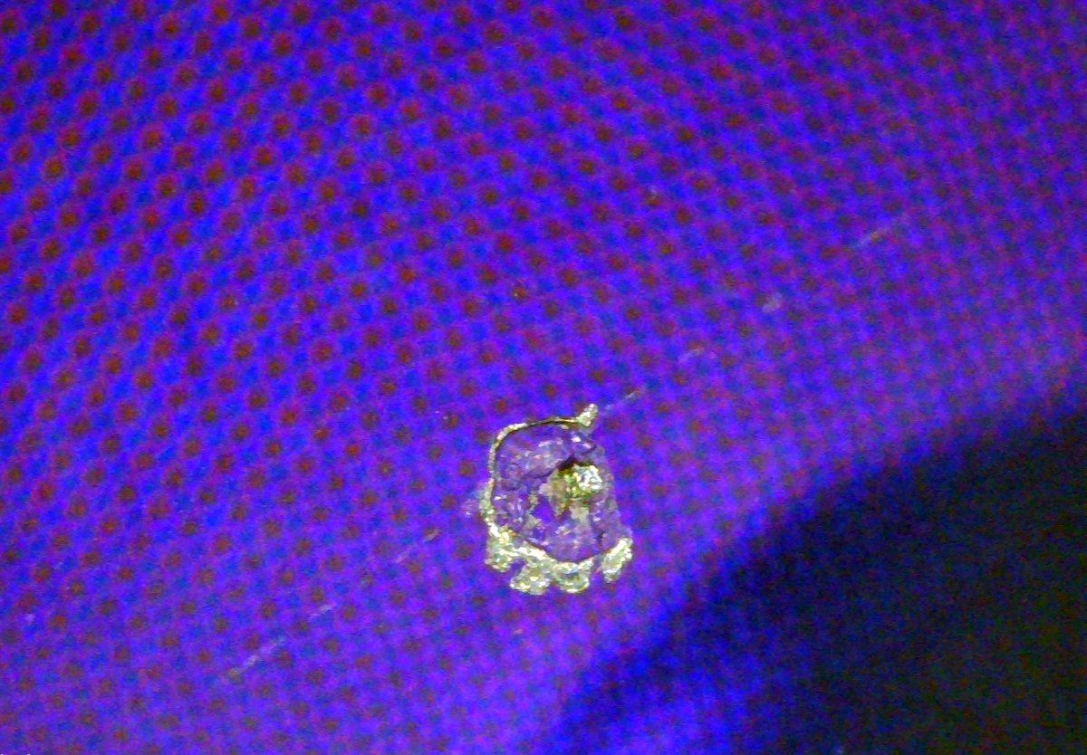 Phil Letourneau tweet media