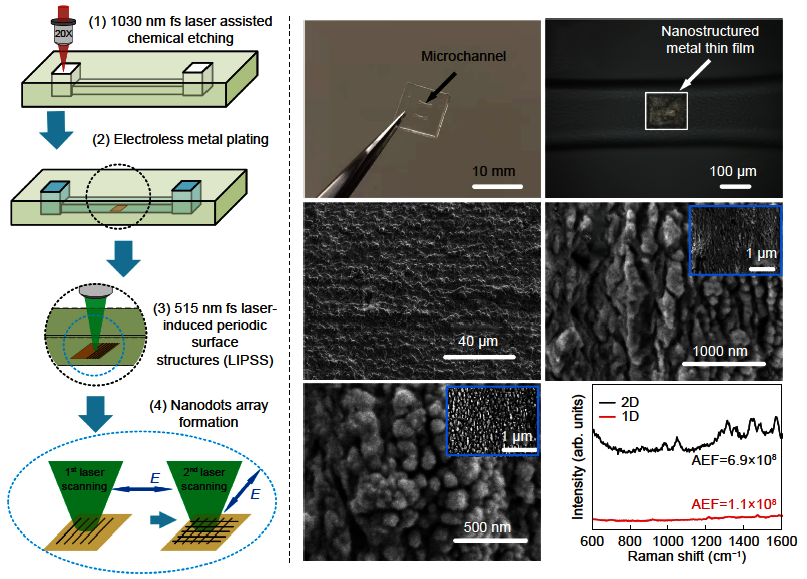OptoElectronAdv's tweet photo. #OEA_highlight Original Article Open Access
Label-free trace detection of bio-molecules by liquid-interface assisted surface-enhanced Raman scattering using a microfluidic chip: https://t.co/fUFeKLlMev
#RIKEN by Prof. #KojiSugioka
#FemtosecondLaser #DNA #MicrofluidicChip https://t.co/muQTdIWydX