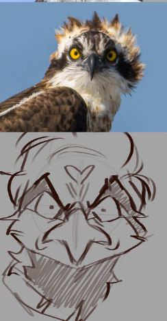 #rottmntoc #UnpauseRiseoftheTMNT bird 