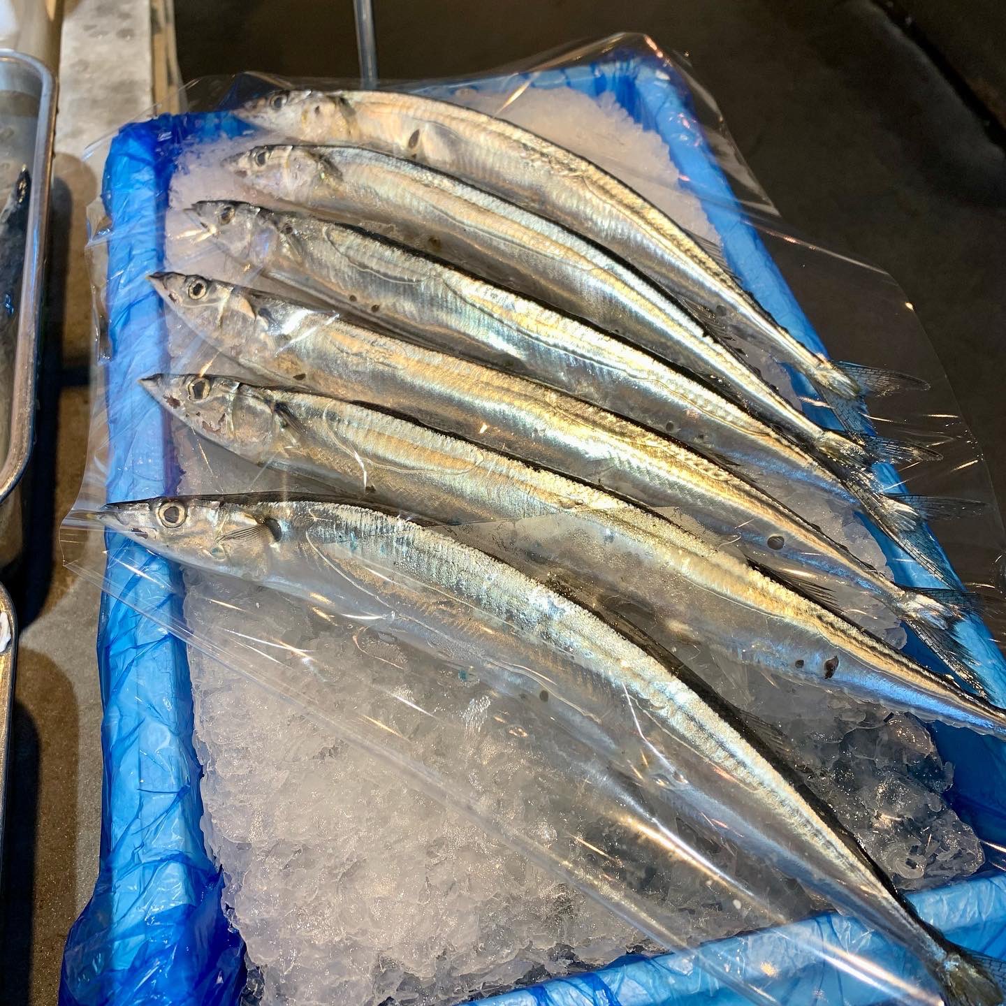 大川魚店 福島県いわき市 9 10 生さんま箱売り 本日 安くさんまを仕入れる事ができたので 生さんま箱売り特価販売いたします 福島の地魚 目光 金頭 肉持がれいもオススメ 陽気が良いこの週末も大川魚店をよろしくお願いいたします 生さんま