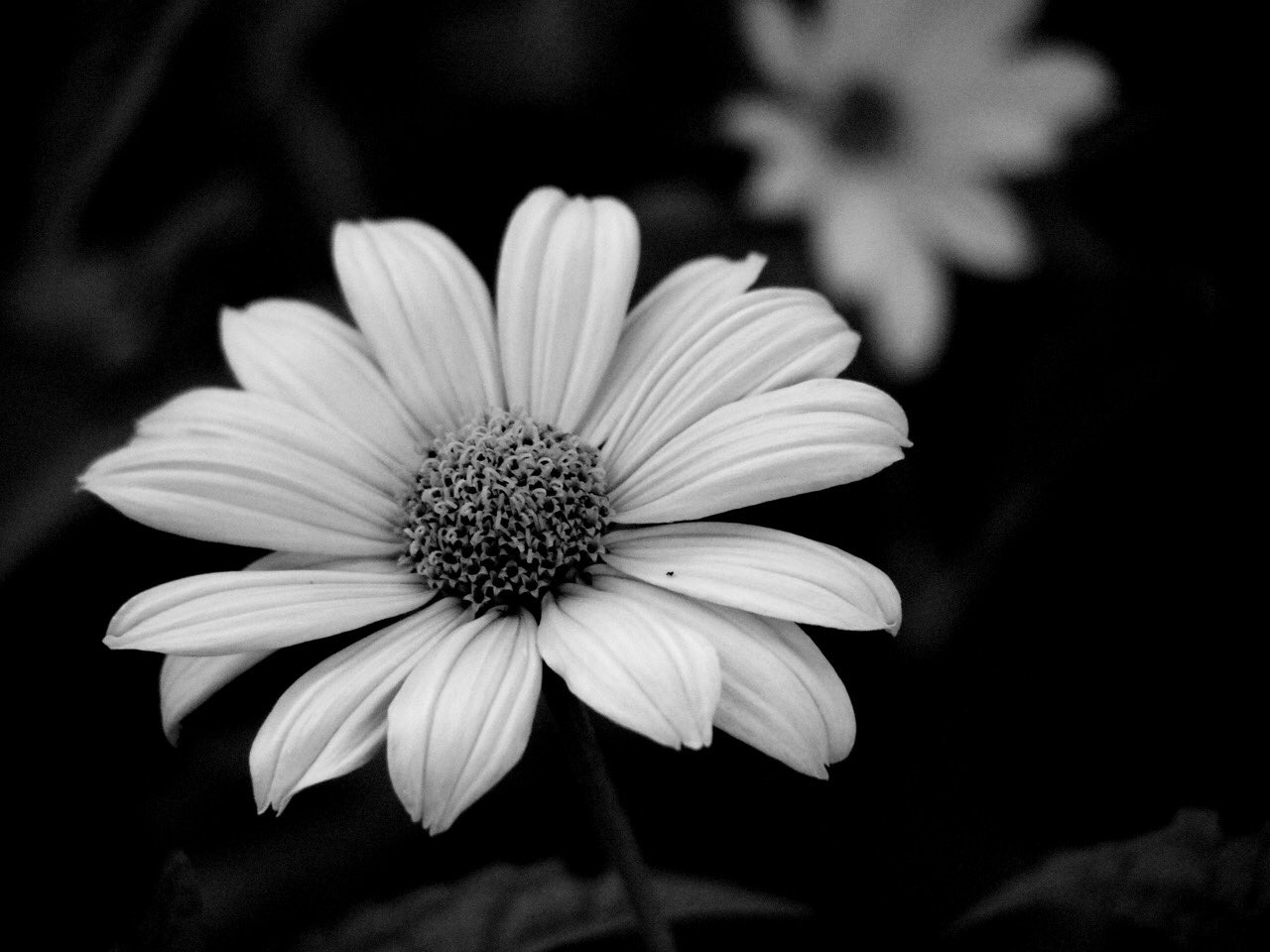 高橋弘子 Hiroko Takahashi / Painter on Twitter 