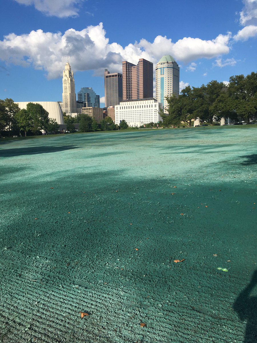 Easye201617's tweet image. A little renovation to turn this empty 1 acre lot into a temporary event space for next season. 300 cubic yards of topsoil, @AdvancedTurf athletic seed mix, spiked and rolled in, starter fert, topped with hydro mulch. 🤞