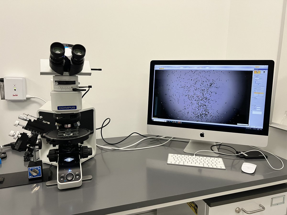 JaydeHirniak's tweet image. Finally figuring out how to use our new micromanipulator! I realized that I am one of those people that treat it like a video game. I found myself throwing my hands up in the air yelling “YES!” every time I got a shard. Anyone else find it that fun?? 🤣 #tephrahunt #ASU #STEPLab