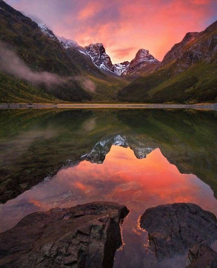 helena_mar19's tweet photo. Good morning
Happy weekend 🦋

New Zealand https://t.co/CpGUzpRTwT