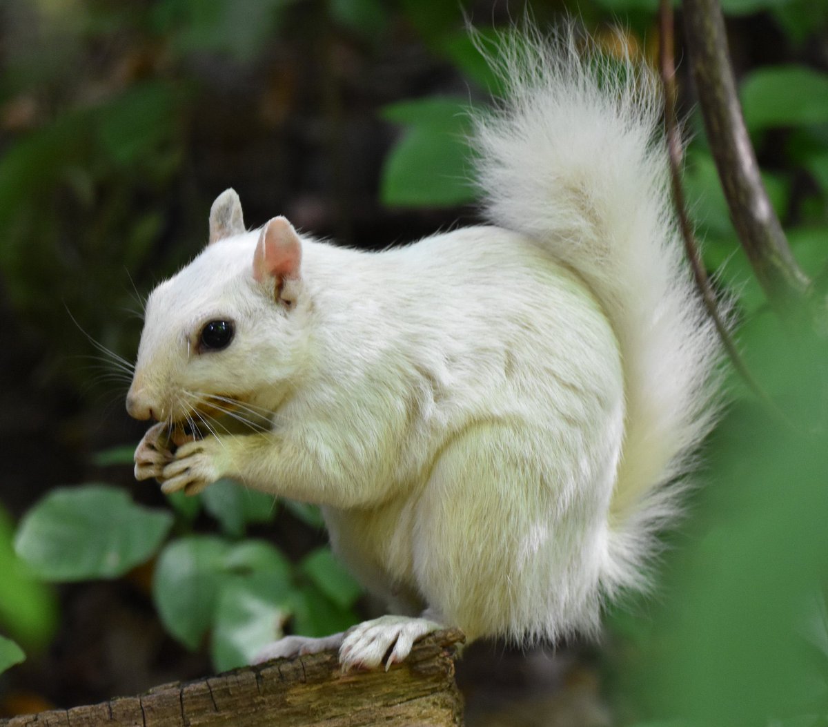 Debby Van Enkenvoort tweet media
